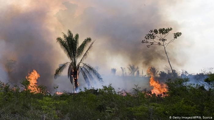 Braziliya prezidenti Makronun Amazondakı yanğınla bağlı çağırışına etiraz edib