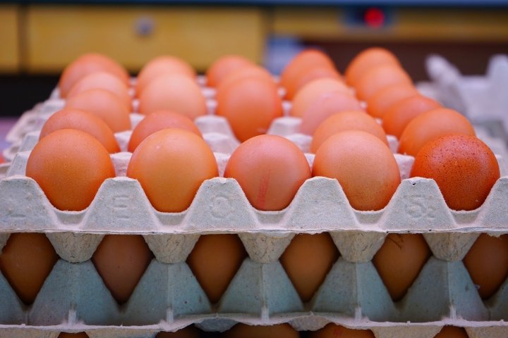 Kənd yumurtaları alarkən diqqətli olun: BUNLARI BİLMƏLİSİZ