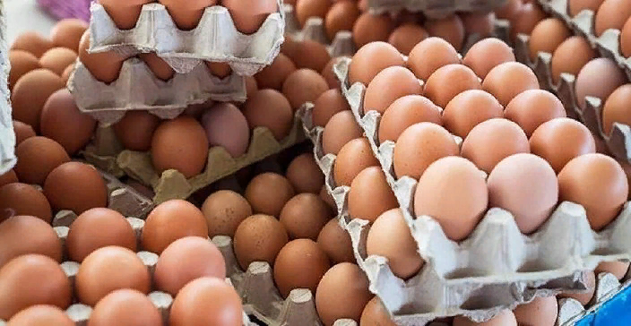 Azərbaycandan Rusiyaya 25,3 milyon yumurta ixrac edilib