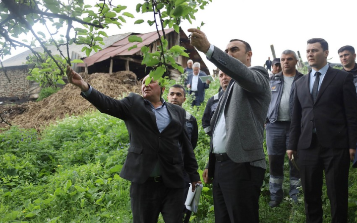 “Daşkəsən və Göygöldə aqrar inkişafa dəstək” layihəsi çərçivəsində monitorinq və icmalarla görüşlər keçirilir