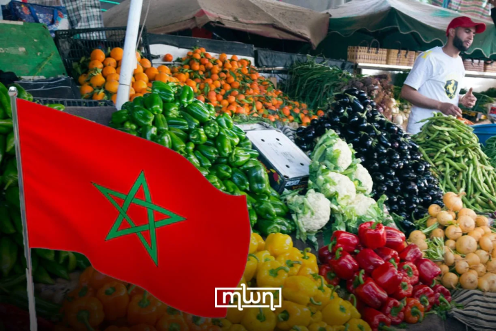 Mərakeş meyvə ixracını genişləndirir və Afrikanın ən yaxşı istehsalçıları arasında yerini möhkəmləndirir