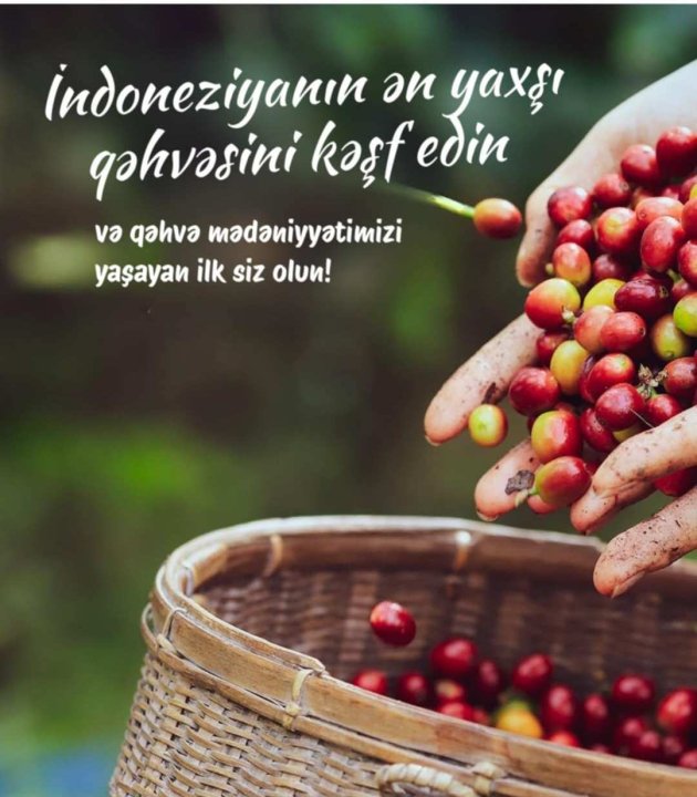 İndoneziyanın Qəhvə Möcüzəsi - İndoneziyaya məxsus müxtəlif qəhvə növlərini dadin