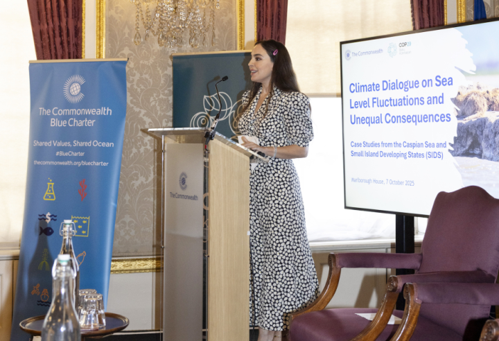 Leyla Əliyeva Londonda yüksəksəviyyəli iqlim dialoqunda iştirak edib