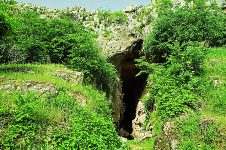 Azıx mağarasında tədqiqat aparılması üçün işçi qrup yaradılıb