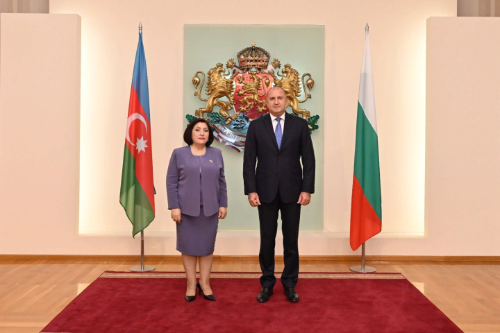 Milli Məclisin sədri Bolqarıstan prezidenti ilə görüşüb