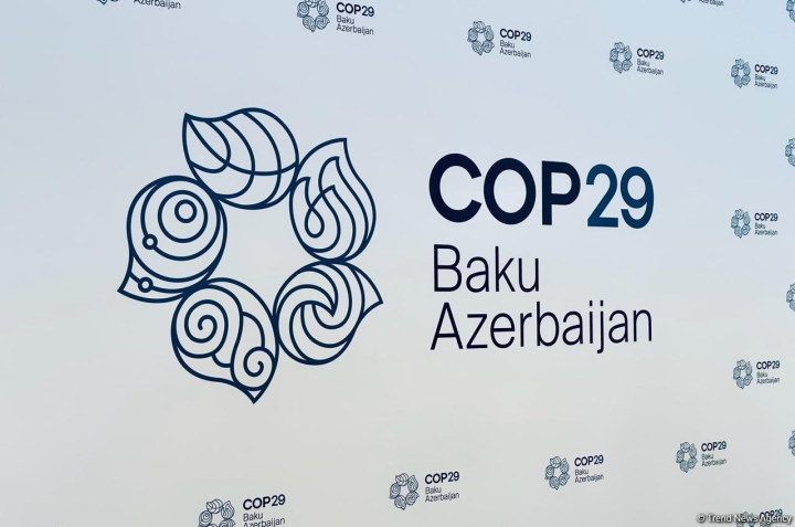 COP29 viza müraciət sistemi aktivləşdirilib