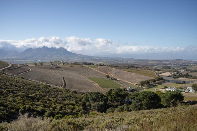 Temperatur yüksəldikcə Afrika böyük xərclərlə üzləşir