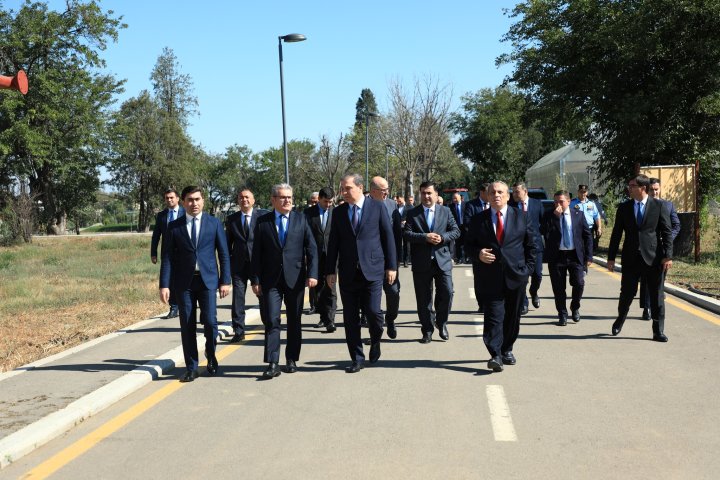 Baş konsullar Gəncədə ağacəkmə aksiyasında iştirak edib