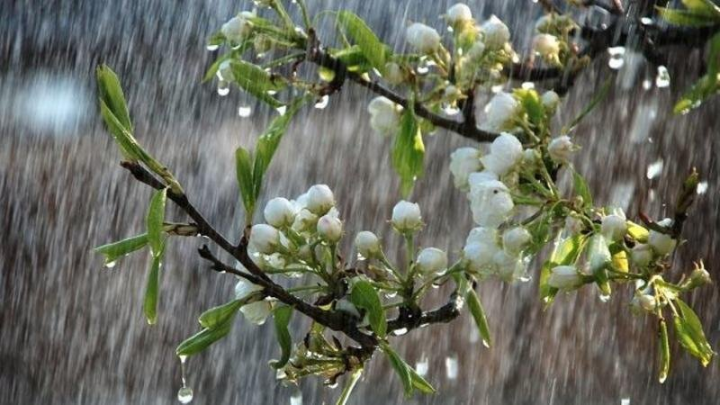 Hava şəraitinin dəyişəcəyi ilə bağlı xəbərdarlıq - temperatur 13-18 dərəcə enəcək