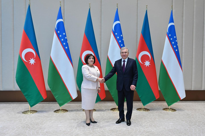Milli Məclisin sədri Özbəkistan Prezidenti Şavkat Mirziyoyevlə görüşüb