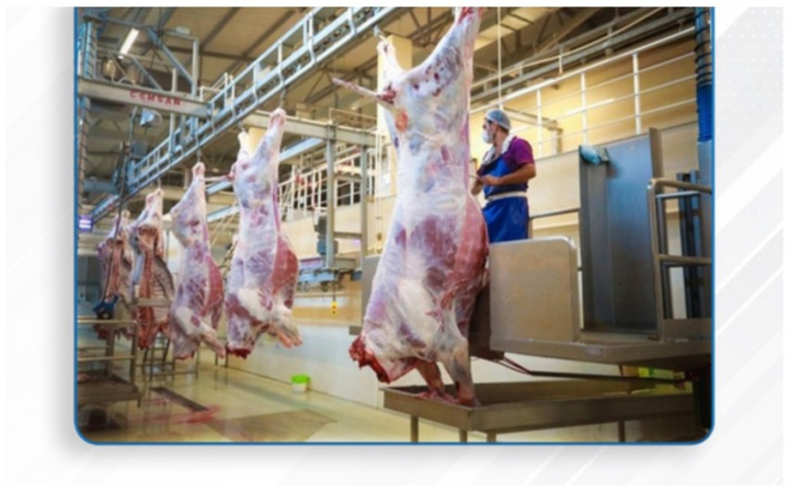 Qurbanlıq heyvanların satışı və kəsimi xidmətləri göstəriləcək ünvanların SİYAHISI