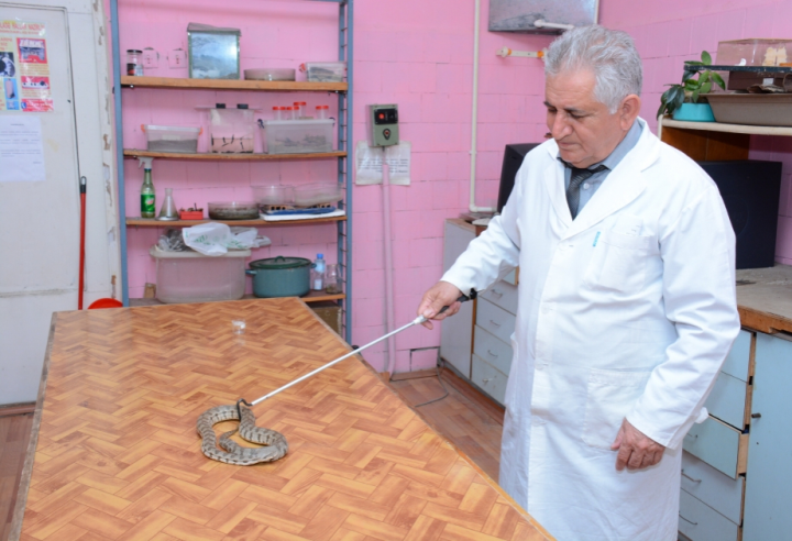 İlanlardan necə qorunmaq olar?