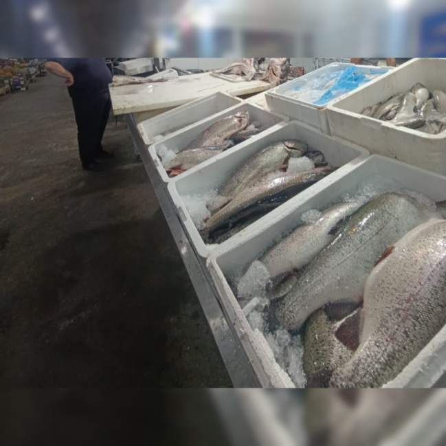 “Keşlə” bazarında istehlaka yararsız balıq məhsulları aşkarlanıb