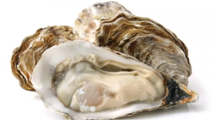 Qoz-fındıqdan daha çox maqnezium ehtiva edən 5 qida qrupu