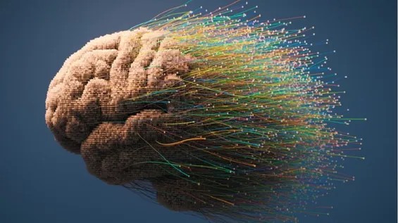 Beyin özünü zədələnmədən necə qoruyur