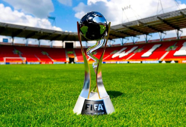 Azərbaycanda keçiriləcək futbol üzrə U-20 dünya çempionatı ilə əlaqədar Təşkilat Komitəsi yaradılıb