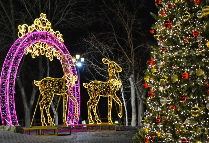 FHN Yeni il bayramı ilə əlaqədar yanğın təhlükəsizliyinə dair əhaliyə müraciət edib