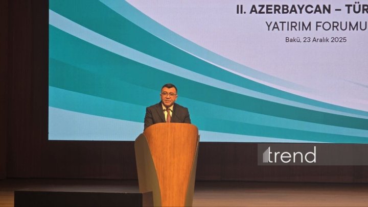 Son 6 ildə Azərbaycanın qeyri-neft ixracı 2 dəfə artıb - Nazir müavini