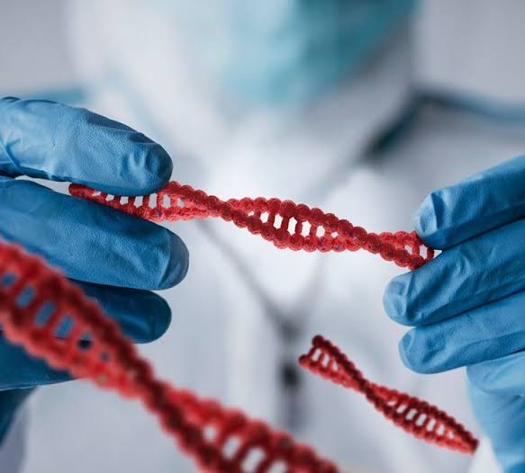 İnsan embrionlarının sənaye məqsədləri üçün istifadəsi patent obyekti kimi qəbul edilməyəcək