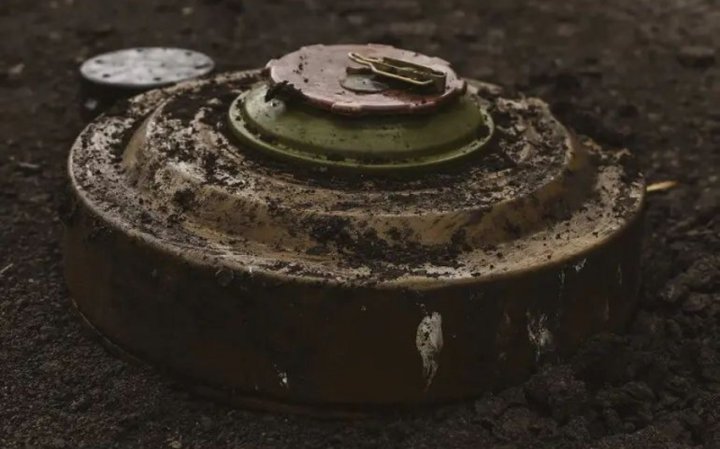 Ötən ay Qarabağ və Şərqi Zəngəzurda 5 min hektardan çox ərazi minalardan təmizlənib