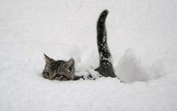 Hava ilə bağlı xəbərdarlıq edilib