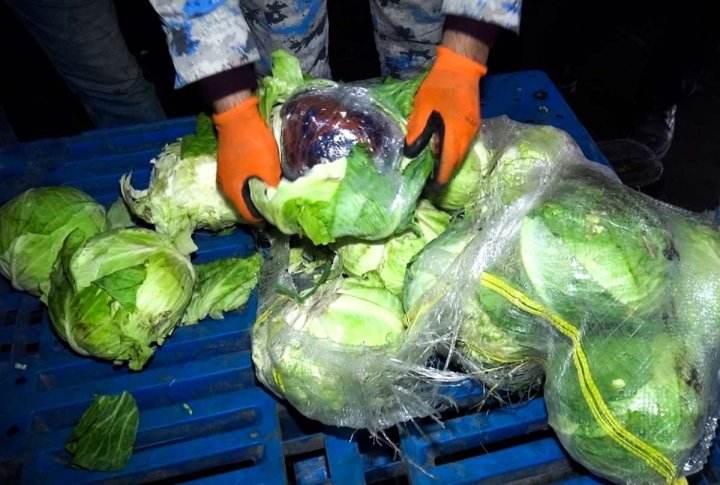 Kələmin içindən külli miqdarda narkotik vasitə aşkarlanıb