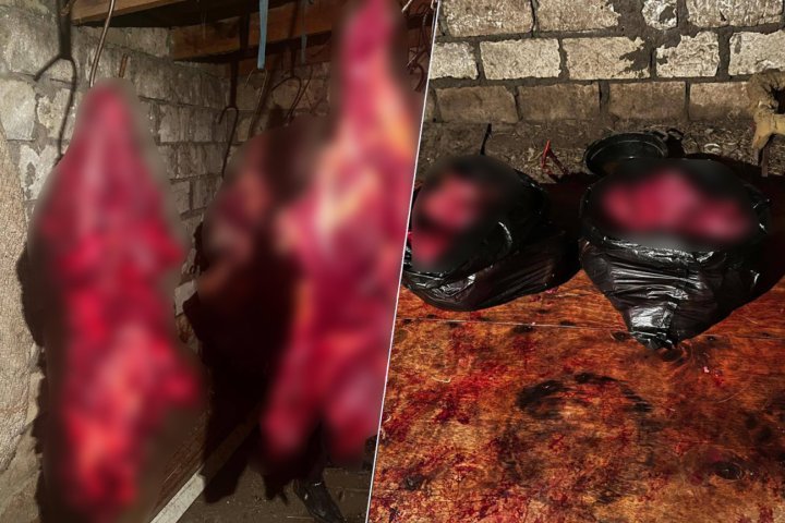 AQTA və DİN birgə reyd keçirib