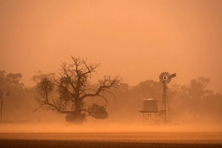 Araşdırma: İqlim dövrləri dəyişdikcə Şimali Afrika toz fırtınaları 1980-ci illərdən bəri azalır