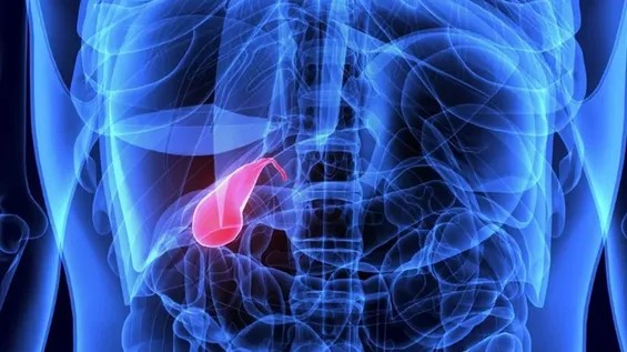 Öd kisəsi xəstəliklərinin diaqnostik göstəricisi kimi dəri