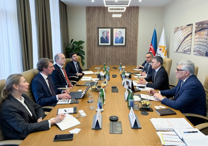 Zakir İbrahimov “Wood Mackenzie”nin vitse-prezidenti ilə görüşüb