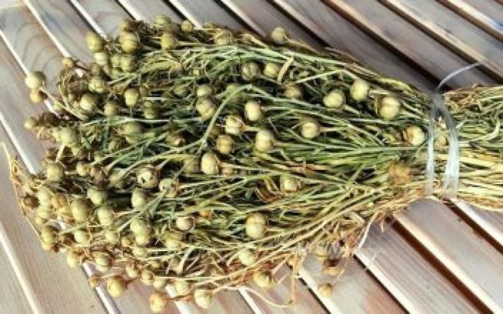 Dövlət Dəniz və Liman Agentliyindən üzərliklə bağlı dənizçilərə müraciət: Yanınızda üzərlik götürməyin