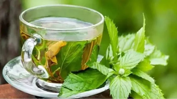 Hər gün nanə içməyin sağlamlıq üçün faydaları nələrdir?