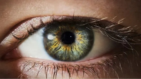 Göz xəstəliklərinin müalicəsi üçün hüceyrə regenerasiyası