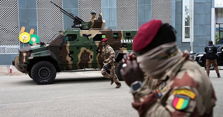 Qvineya şübhəli GSIM şəbəkələrinə qarşı mübarizə aparır