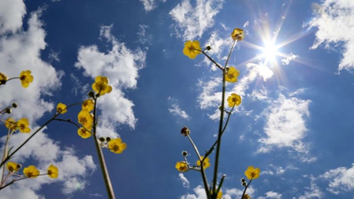 Martın son günü hava necə olacaq