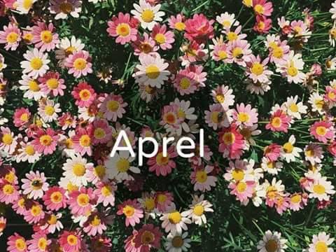 Aprelin ilk gününün havası