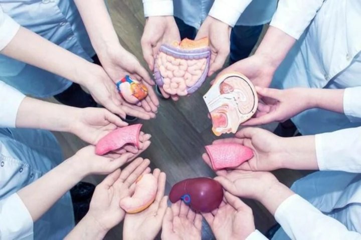 Azərbaycanda meyit donorlardan ən çox transplantasiya olunan orqanlar açıqlanıb