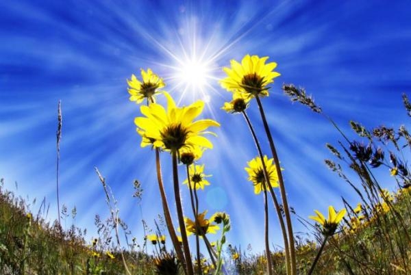 Sabah 21 dərəcə isti olacaq